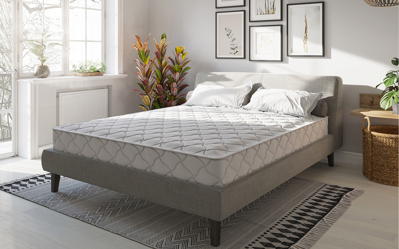 Евита Беспружинные Line Plus Contour фото 3