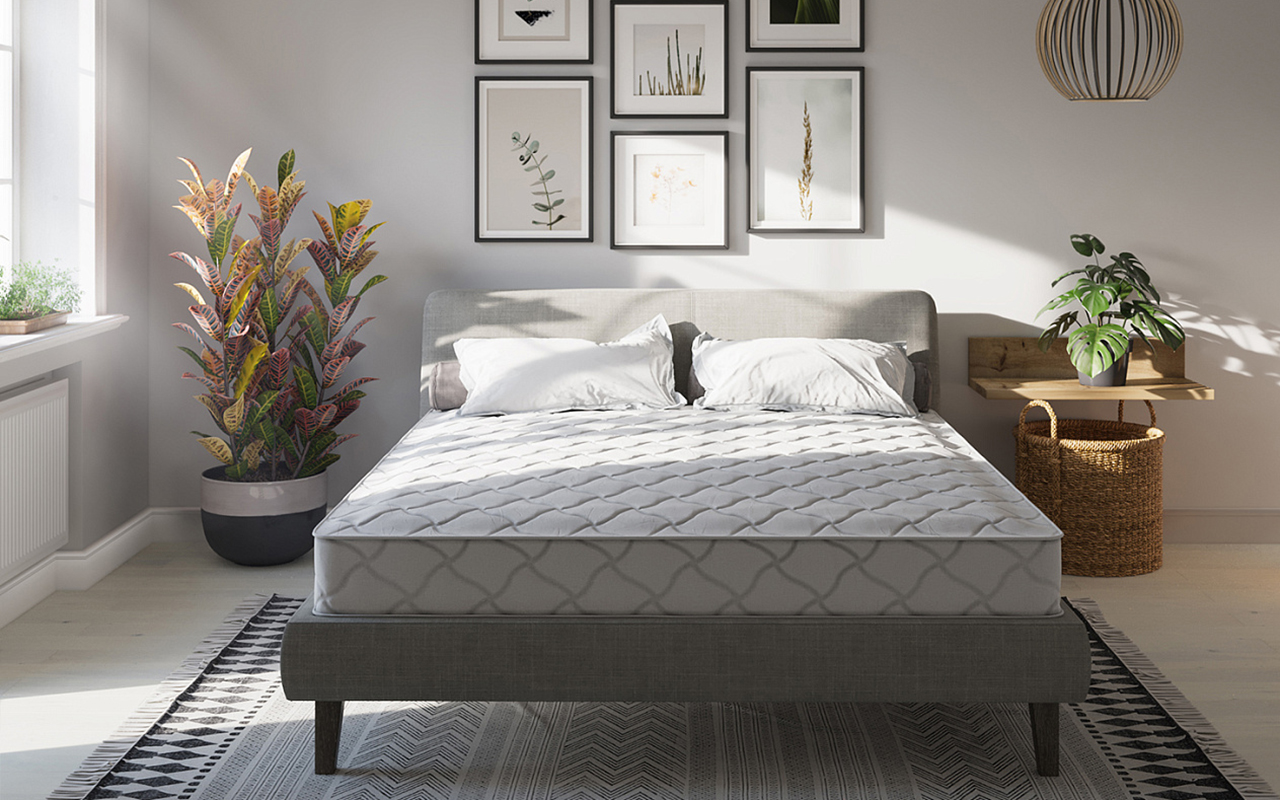 Евита Беспружинные Line Plus Contour фото 4